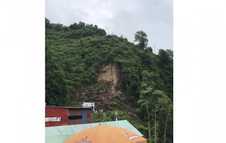 फोटो सौजन्यः निहारीका टण्डन